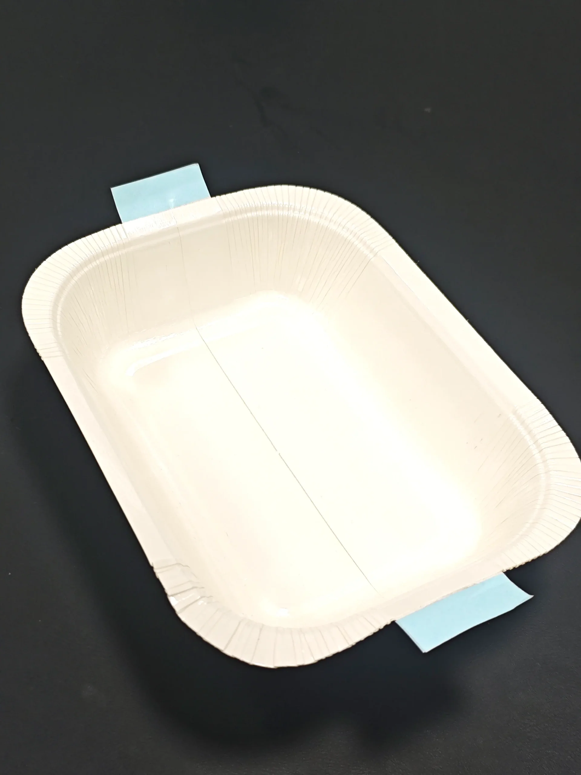 Takeout Tray 08